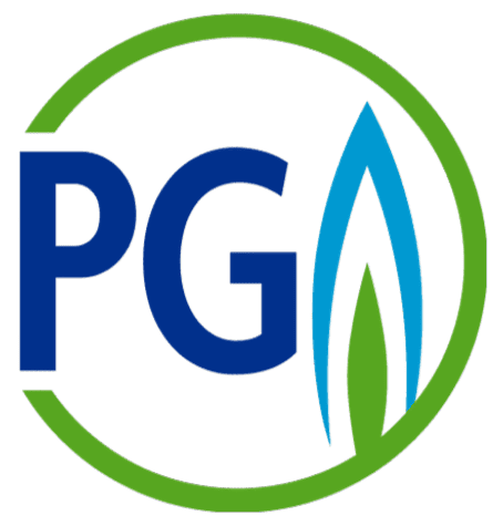 Logo Professionnel du Gaz